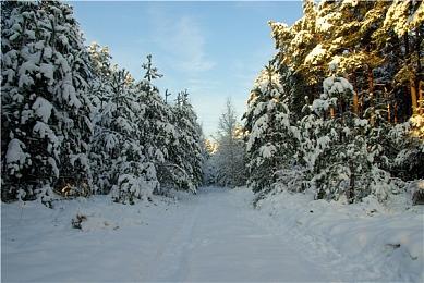 《绝世好武功》新预告公布 发售日期待定