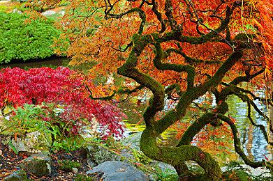 聆听异域音律探秘宫廷权谋《苏丹的游戏》OST&小说DLC 6.27日发售