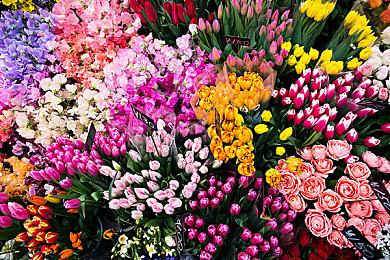 《NUKITASHI》官方中文版好评热卖中！海外独家采访企划负责人！！